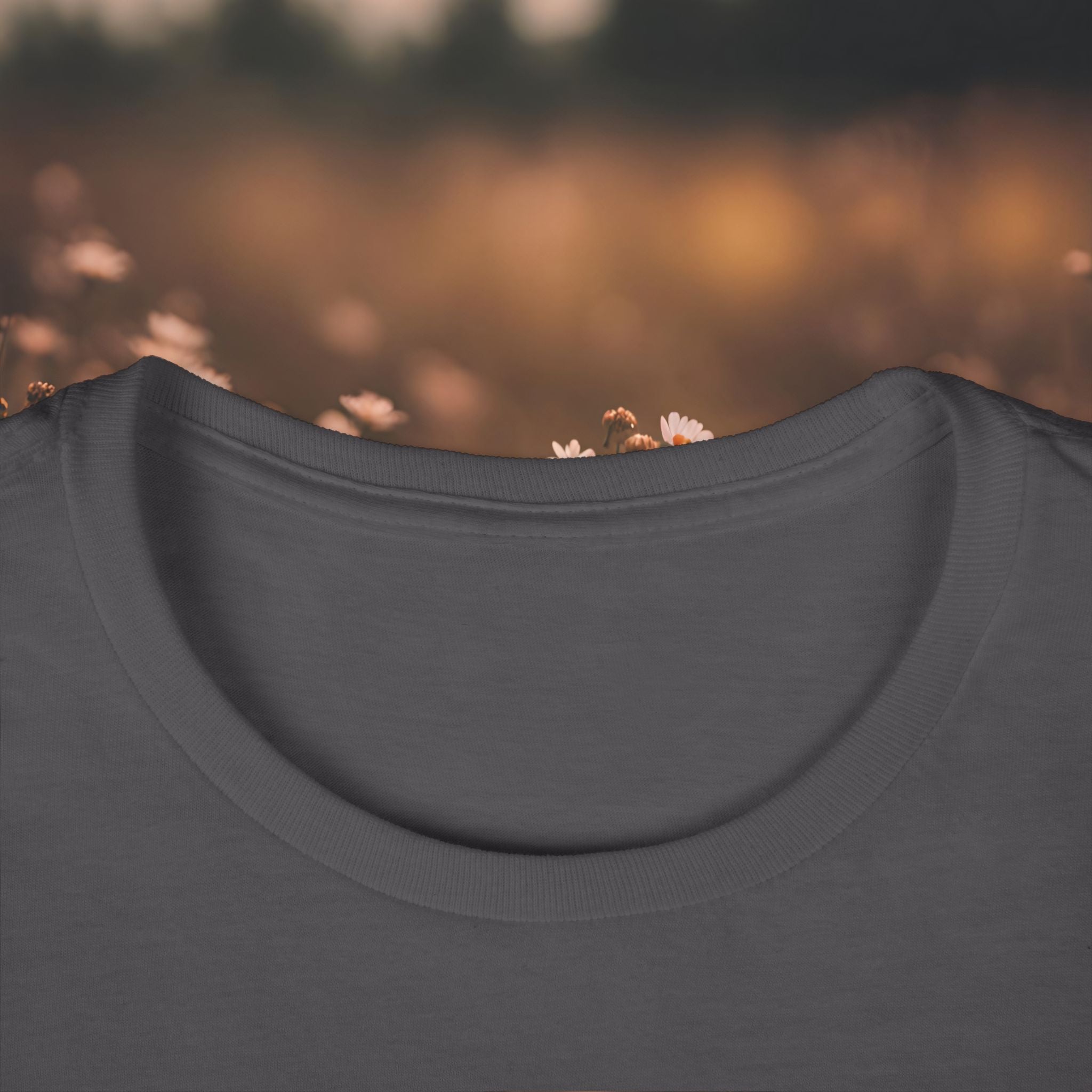 Women's Tee — 'We Are Raising Lions.'