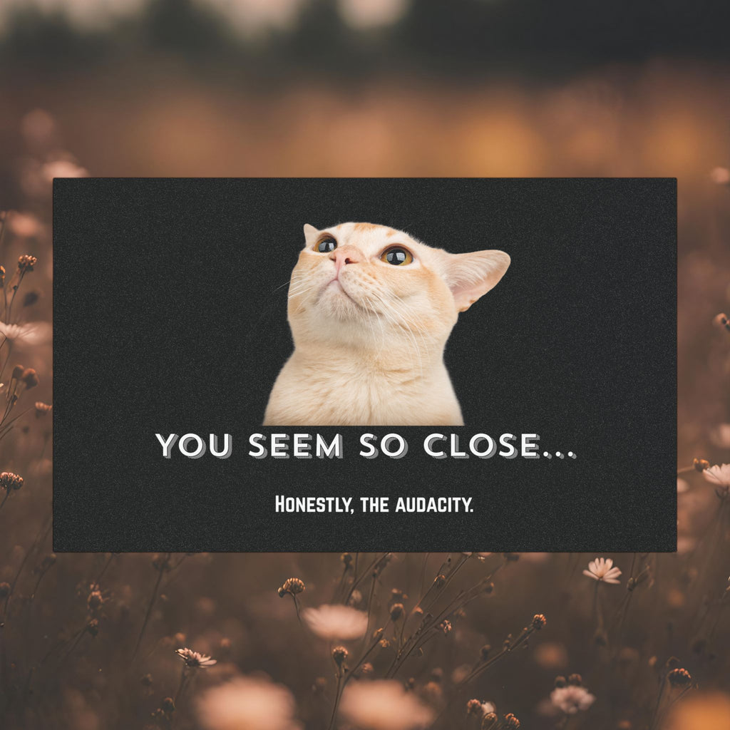 Funny Cat Car Magnet — “You Seem So Close… Honestly, The Audacity.”