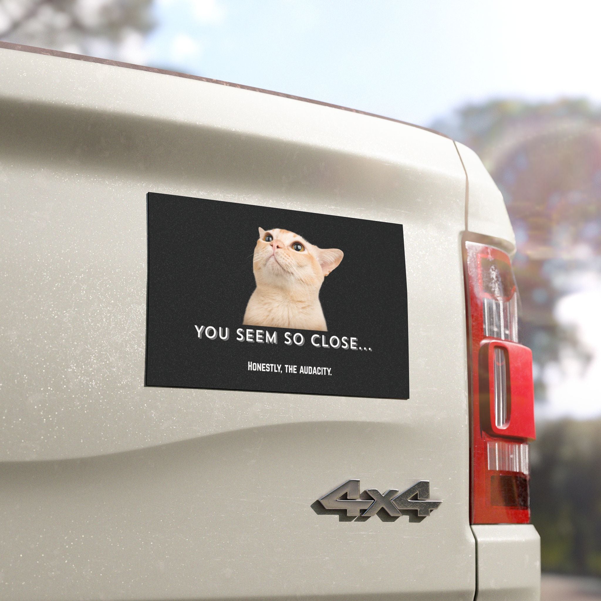 Funny Cat Car Magnet — “You Seem So Close… Honestly, The Audacity.”